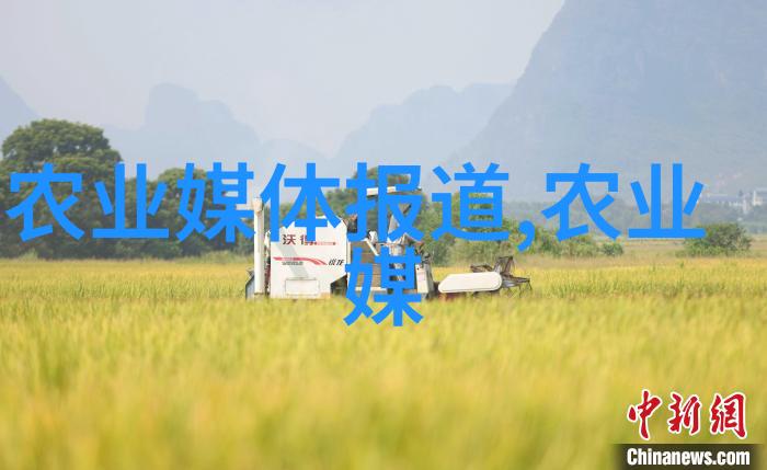 蜂群数量与其所需蜜源面积之间存在怎样的关系