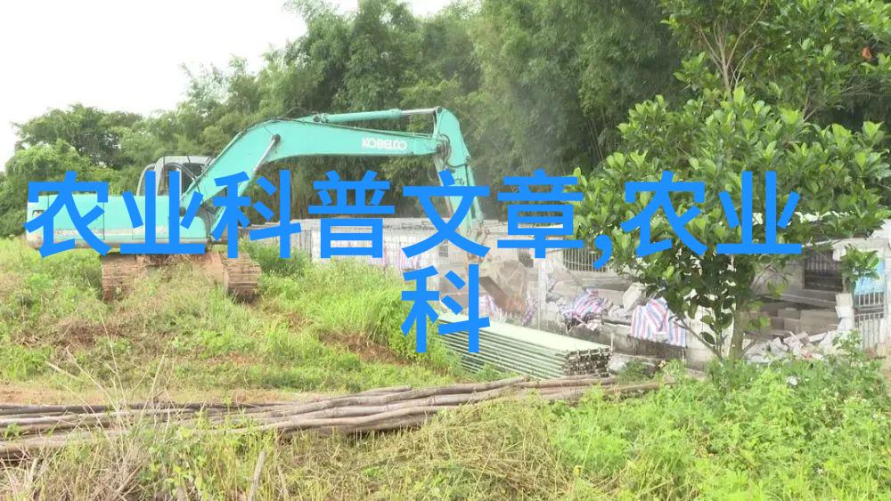 芍药红艳艳紫绚绚一道色彩斑驳的风景线