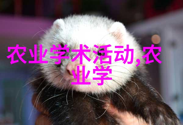 生态保护在您的私人小天地里创建一个生态友好的环境