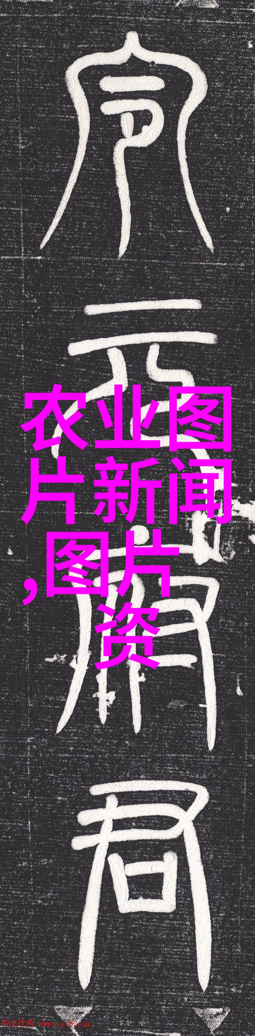 家居美学-客厅最旺财的植物增添空间魅力与收藏价值