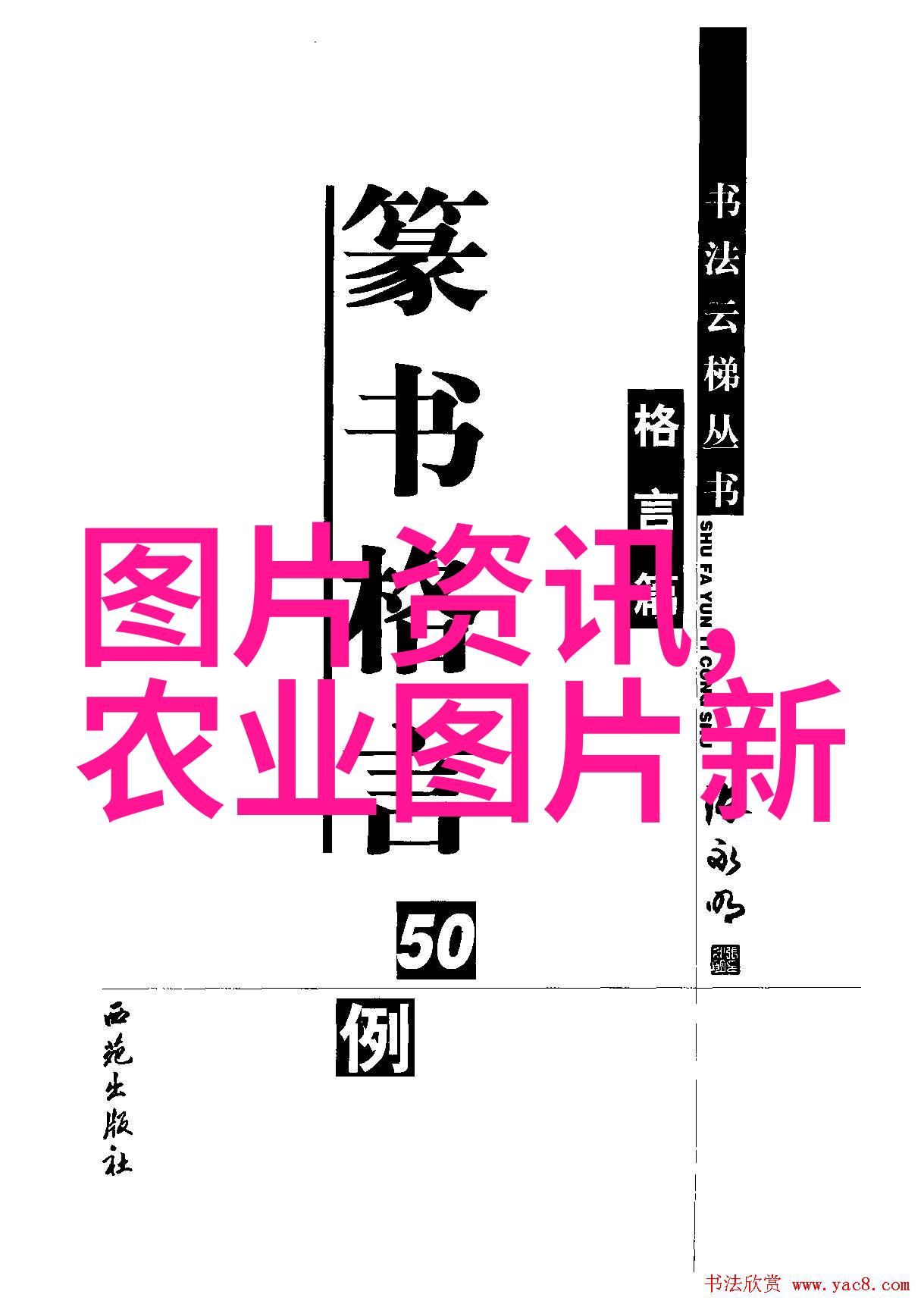 农产品行情网它的运作机制又是什么