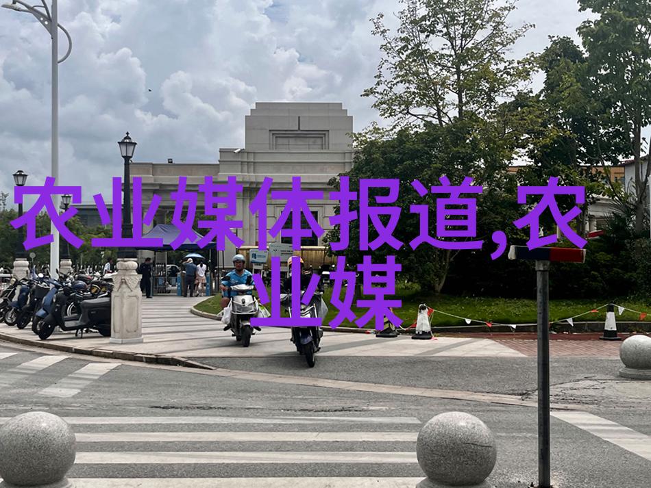 绿茶中国的传统绿茶红茶印度和斯里兰卡的产物乌龙茶半发酵中国南方的代表白茶最轻微发酵中国云南省特产黄茶