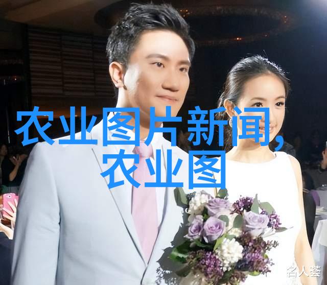 中国最新一代农业机械革新农田耕作的强大力量
