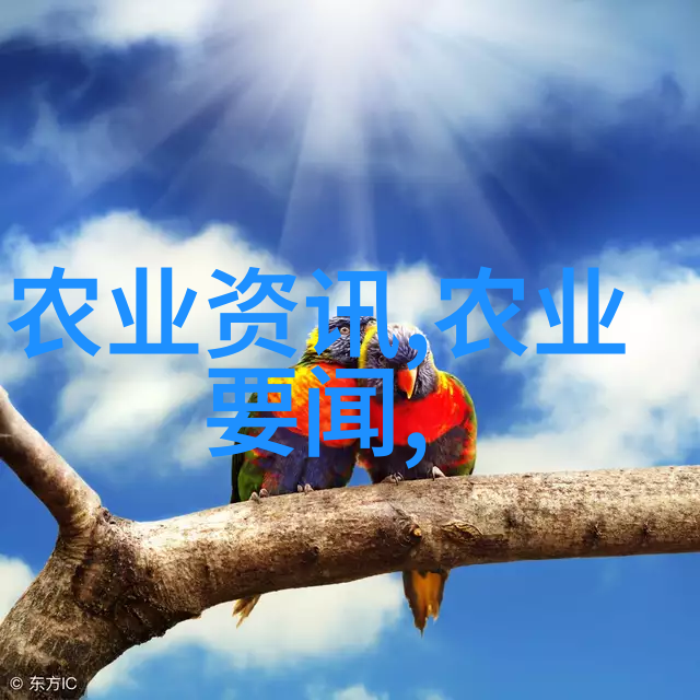 在云雾缭绕的山林深处藏匿着一片被人忽视的秘密花园这里不仅生长着罕见的药草还隐藏着古老的医术传承