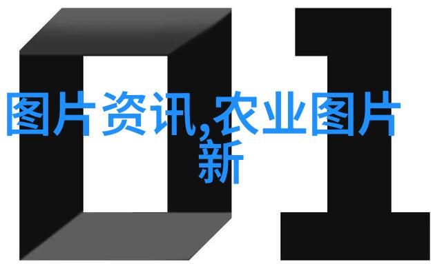 野外养蜂技术视频揭秘精准定位蜜蜂栖息地