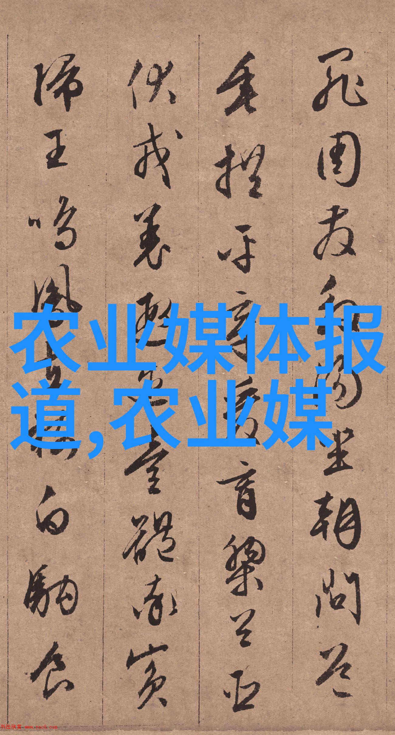 自然疗愈与科技创新相结合医疗级配方中的最佳原料选择