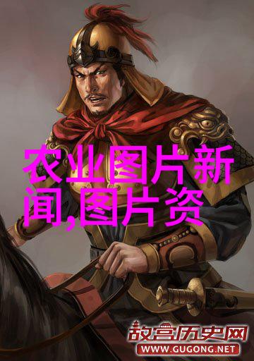 一年生药材种类繁多常见的有藿香黄连甘草等
