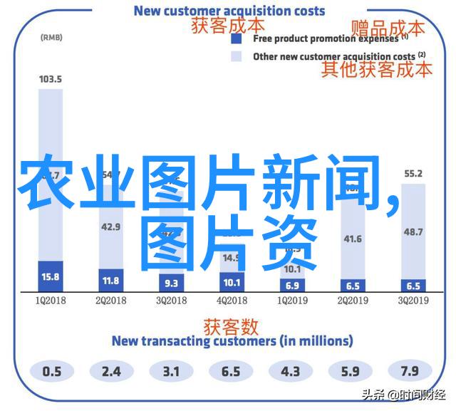 金线莲种植成本分析一斤的价格背后