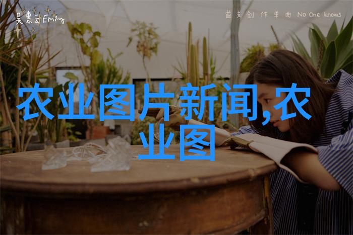 茶叶的基本种类六种我来告诉你这些超级常见的茶