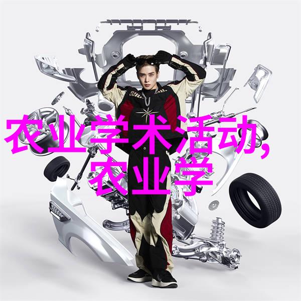 稻谷烘干机金色旋转的守护者
