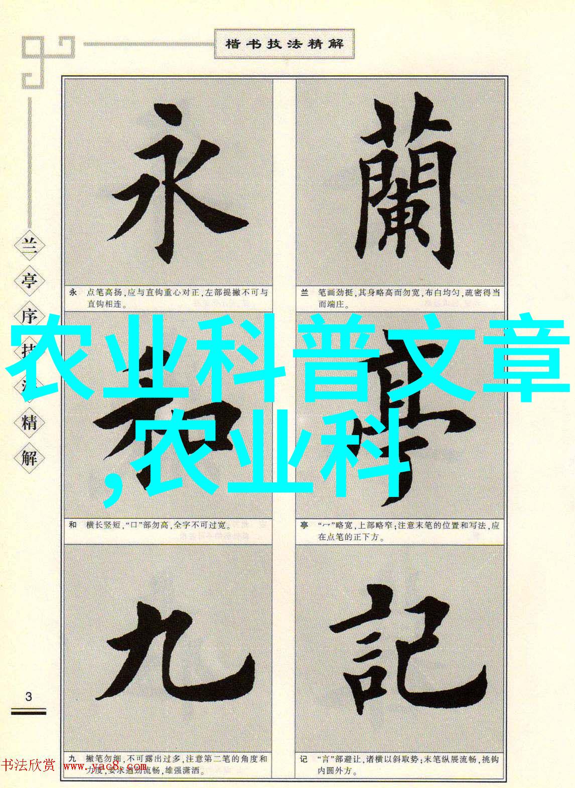 云南昆明鲜花批发市场盛开的色彩与商机