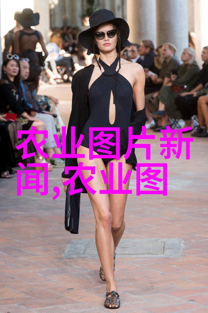 丰富多彩的水果与种子世界一览尽兴的图像宝库
