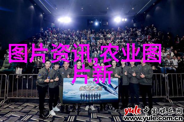 农村种植什么花卉最赚钱 - 田间金钱树剖析高收益农村花卉市场