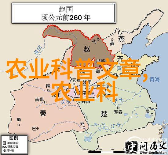 花卉种植我是如何在阳台上栽出美丽的玫瑰的