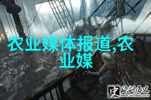 农民的金钱之花种植智慧的财富园地