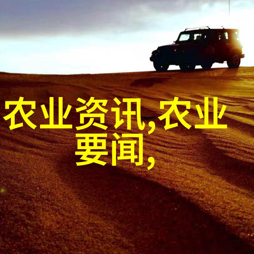 照相技巧分享捕捉花卉瞬间最美时刻的秘诀
