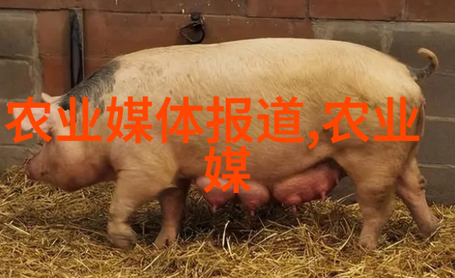 绿色富翁一亩大棚的投资秘诀