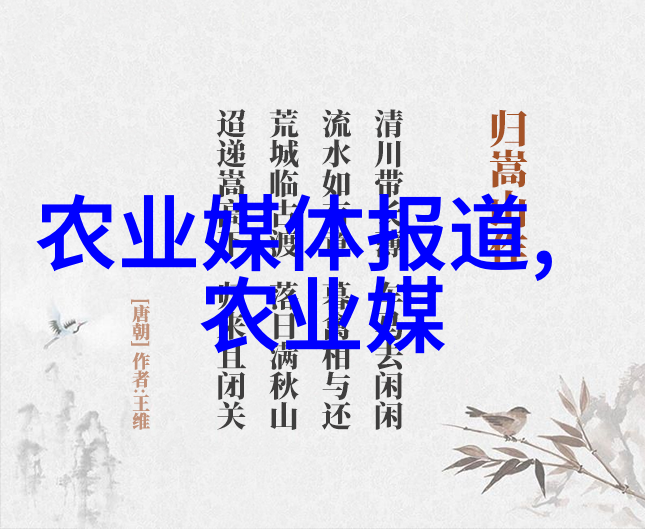 新疆风情探索文化与自然的奇迹