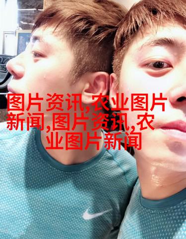 图2：红枫无毛茸