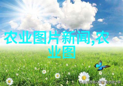 西安苗木交易市场绿意盎然的园艺宝地