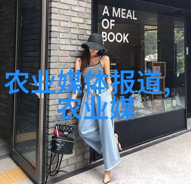 蔬菜种植全书从土壤调理到收获技巧的详尽指南