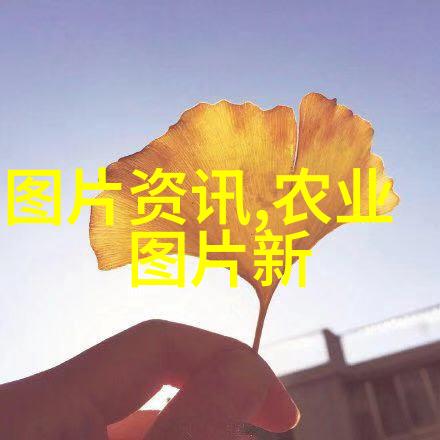 菏泽中药材种植基地-青龙湖畔的草本之冠探索菏泽中药材种植基地的绿色传奇