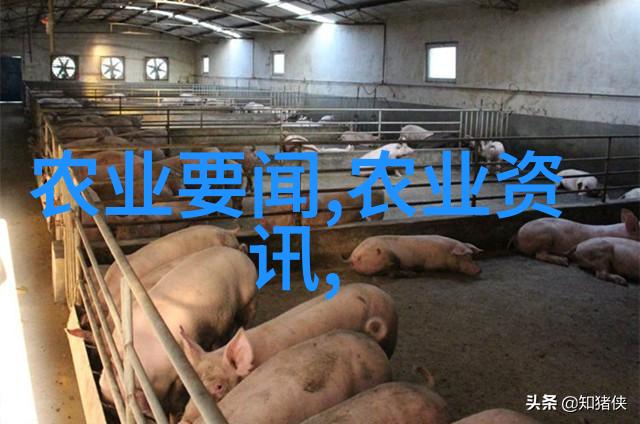 抗氧化大师揭秘茶叶如何抵御自由基侵袭