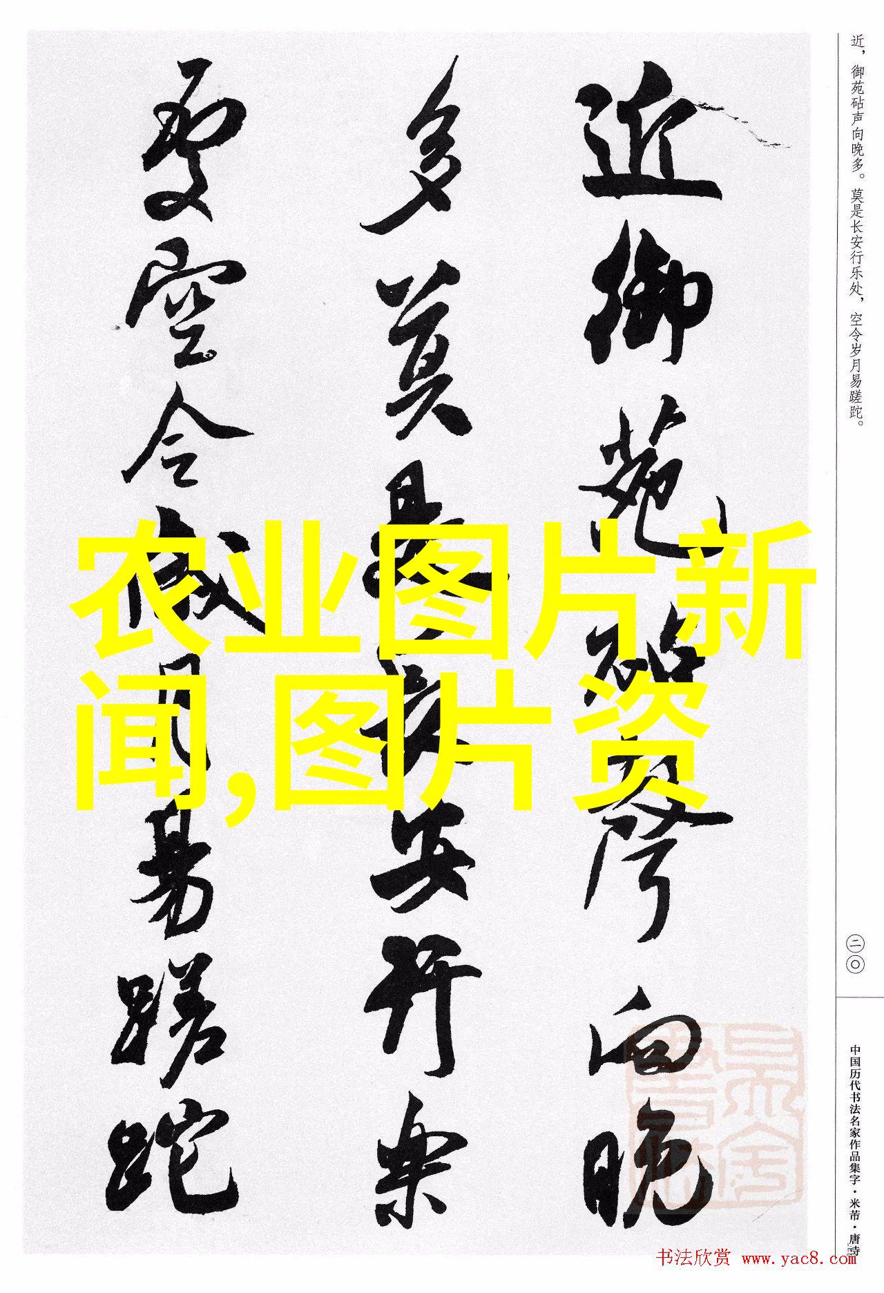 仓鼠之谜它们究竟是如何在冬眠中保持体温的