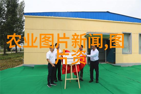 我的购物小贴士蒜苔价格怎么抢到手