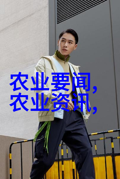室内养殖文竹时光照问题该如何解决