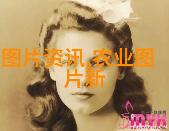 绿野生长探索未知的野味美食世界