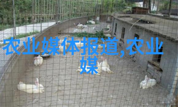 茶叶的十大保健功效我来告诉你喝这几种茶真的能让你变得更健康
