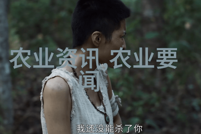 未来种植最赚钱作物探索高价值植物市场的趋势与机遇