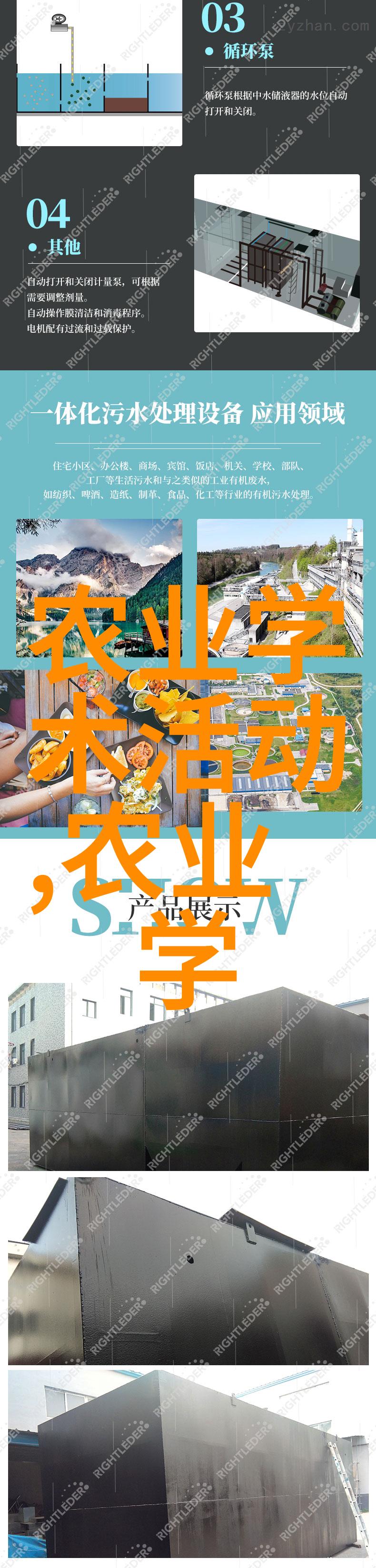黄精种植指南一亩之地需要多少苗种