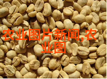 陆川猪之谜背后的秘密与沉默的森林