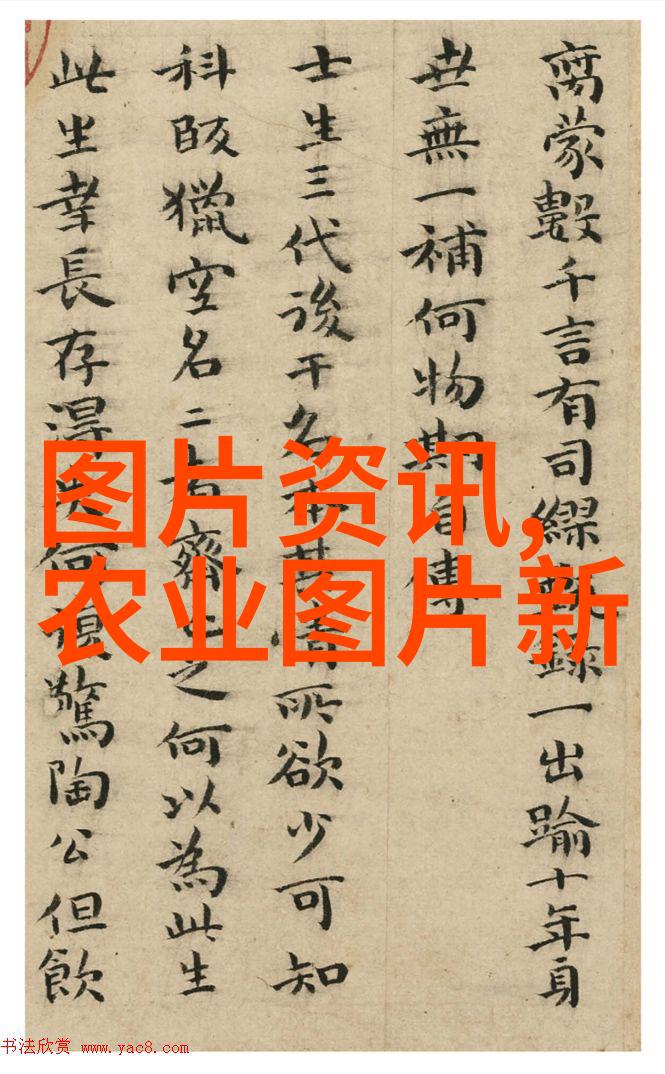 树林中的金钱探索10公分法桐的市场价值