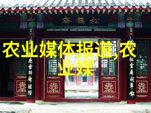 香菇价格从土豆的梦想到金子般的梦碎