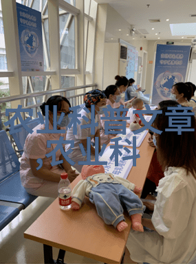 冬日蔬菜种植技巧汇总