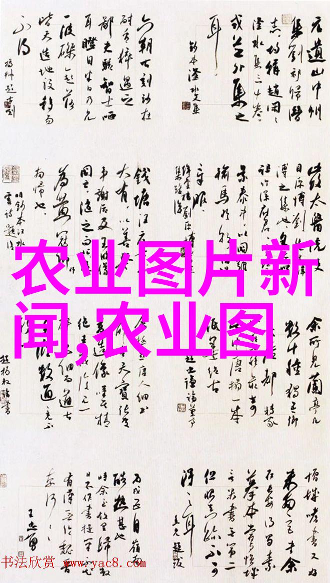 掌握法律智慧解读基本法律常识100条