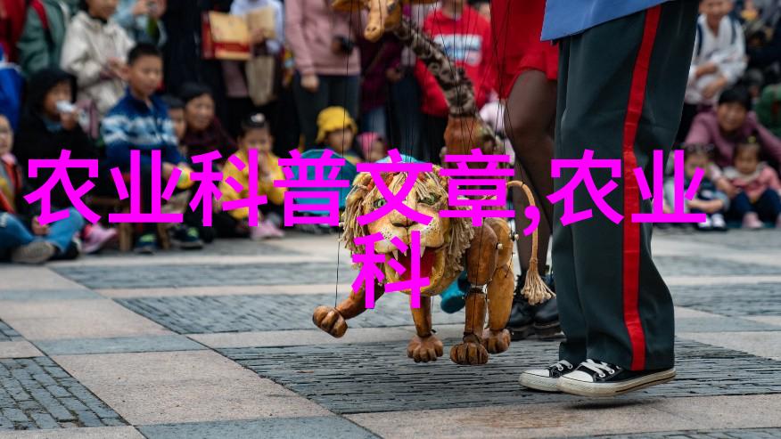 探秘水果种子世界它们的奇妙形态有哪些