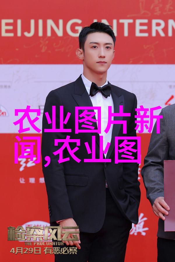 什么因素决定了挖沟机的效率和性能