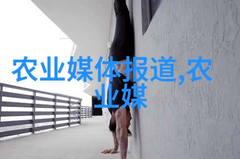 养蜂的技术与管理我来教你如何搞定蜂箱里的忙碌小工人