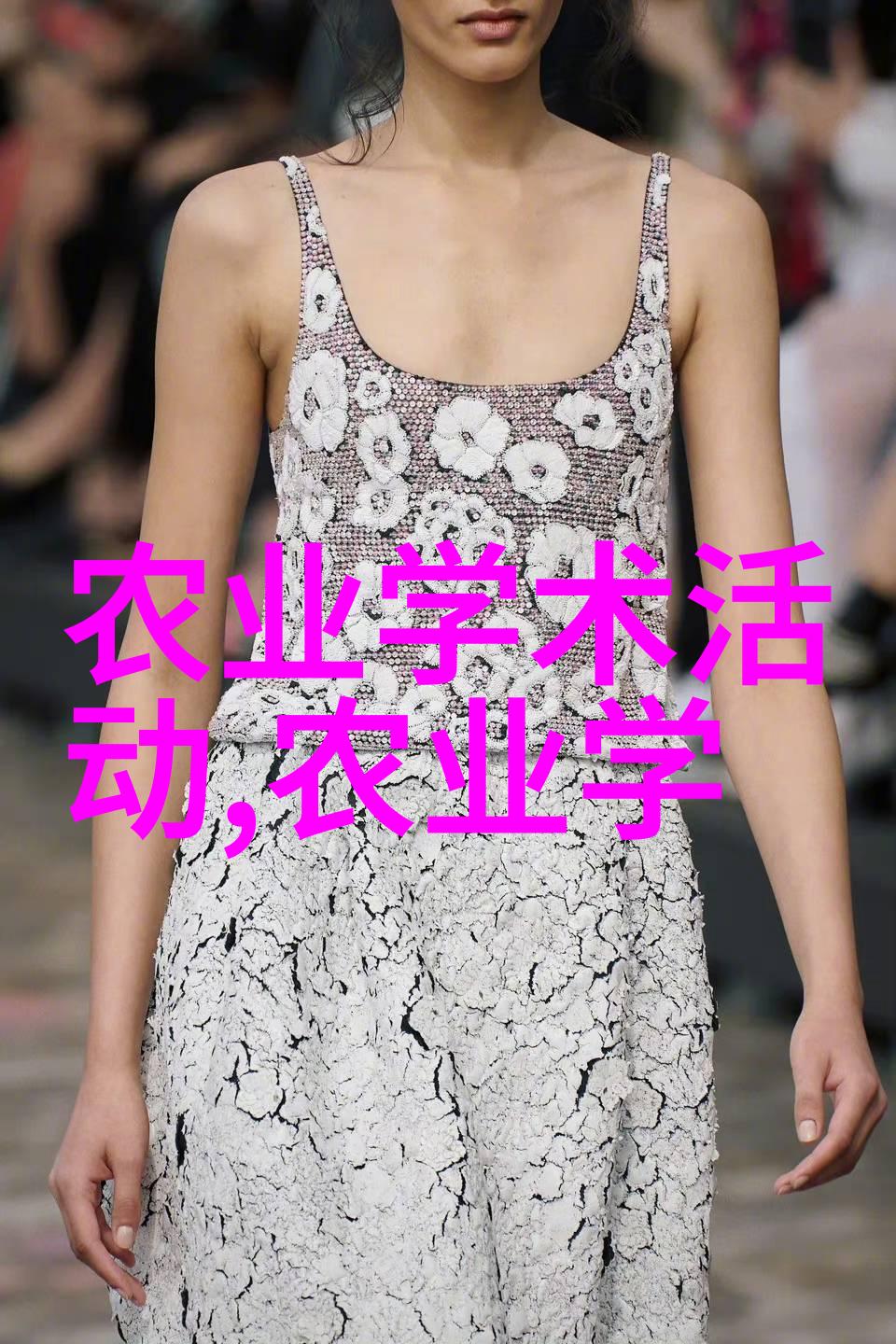 蜜蜂世界 蜂的社会结构与生态角色