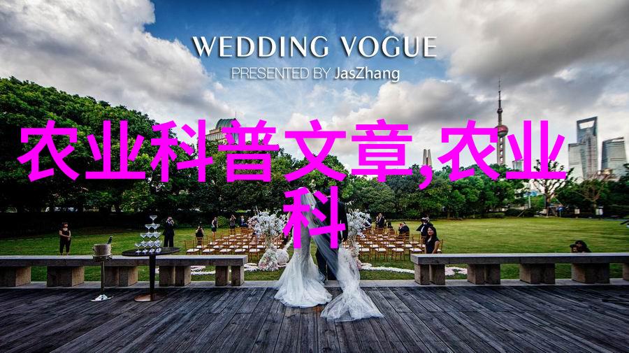 南美白对虾养殖技术精要解析