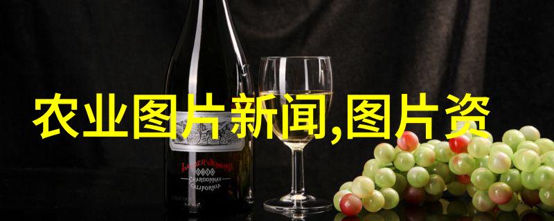 农业机械-操控田野的艺术人工手动插秧机的精髓