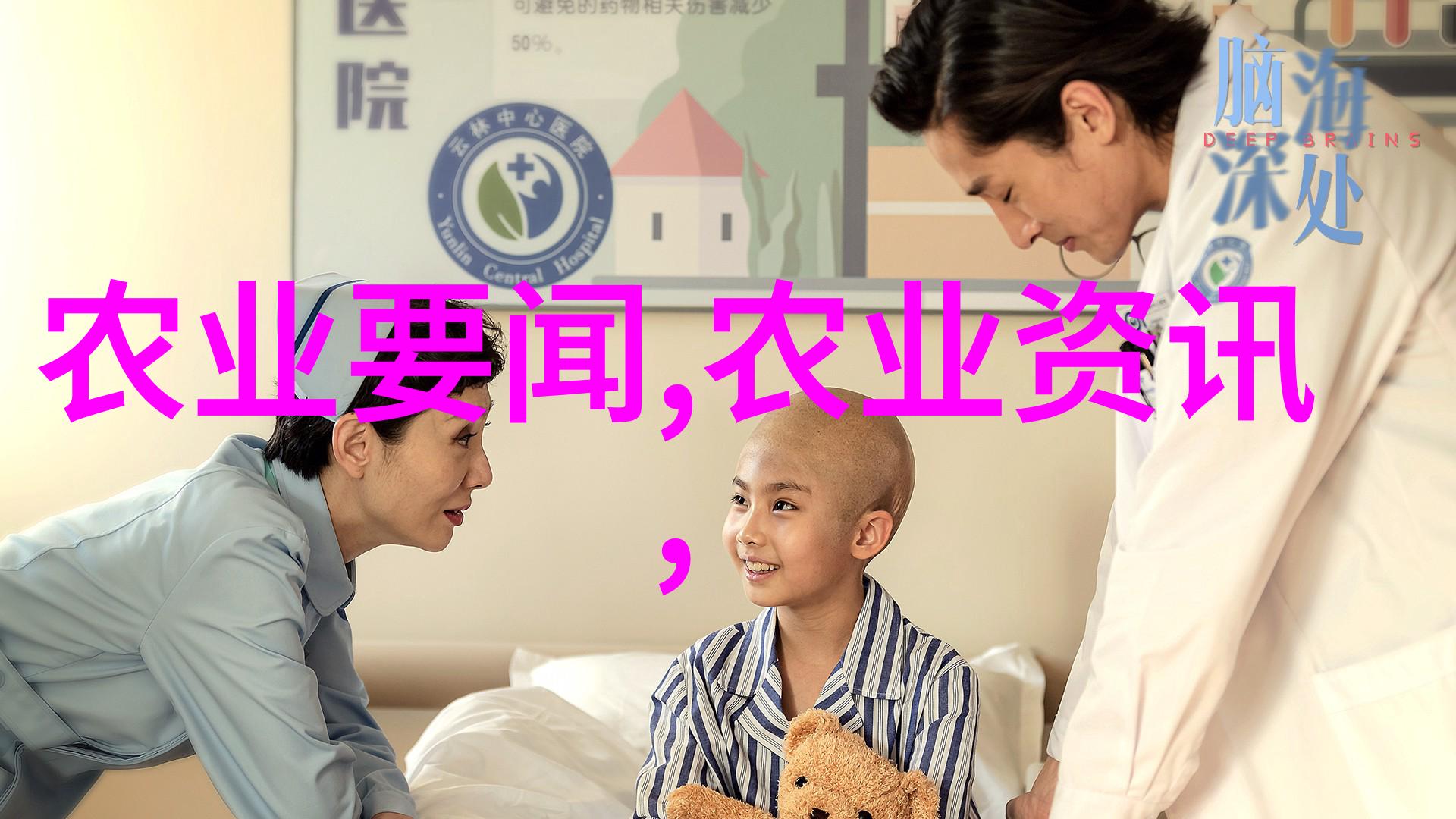 粮食作物的种类与特点