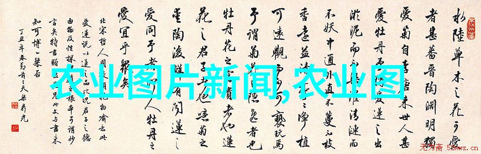 5箱蜂一年能发展多少我的蜂箱秘密花园