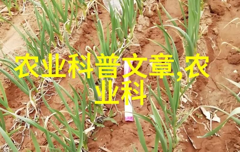 金线莲回收公司的秘密背后的故事究竟是什么