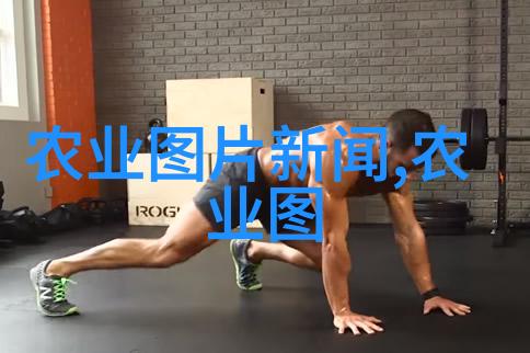 苗木种类丰富多样的苗木选择