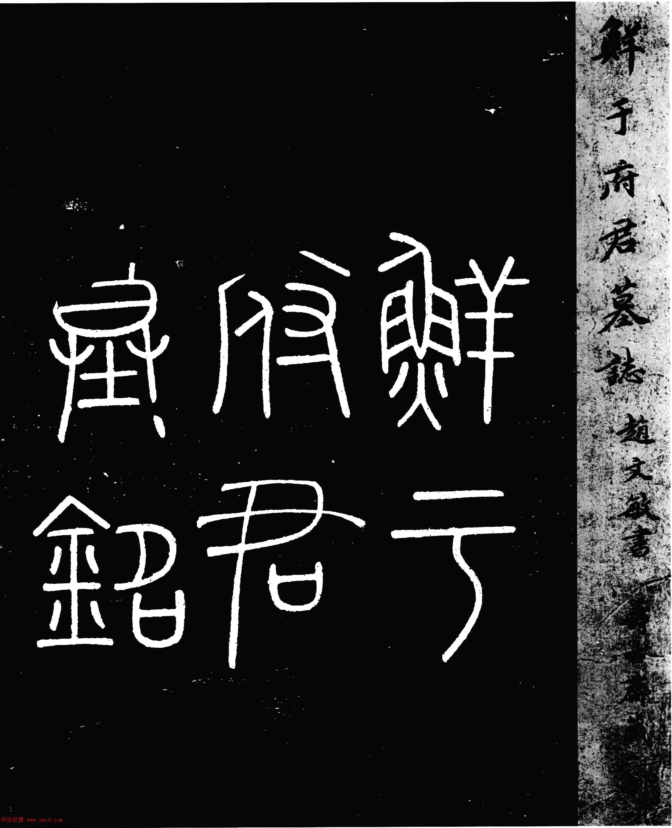 重生神座之月神月光下的意志觉醒